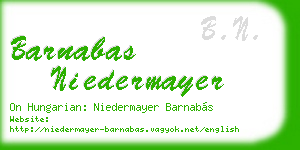 barnabas niedermayer business card